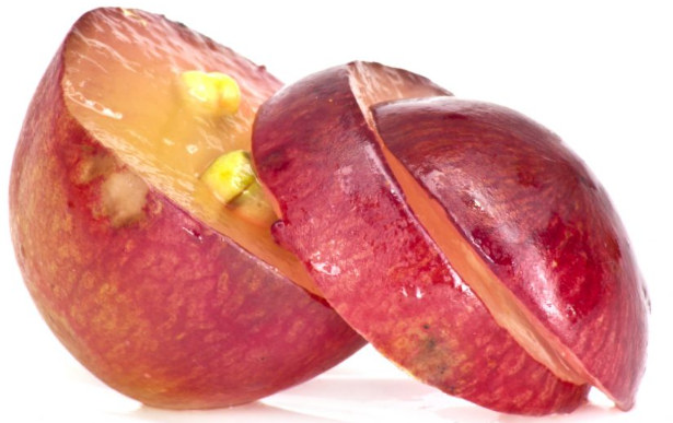Can I Take Resveratrol and Grape Seed Extract Together.png